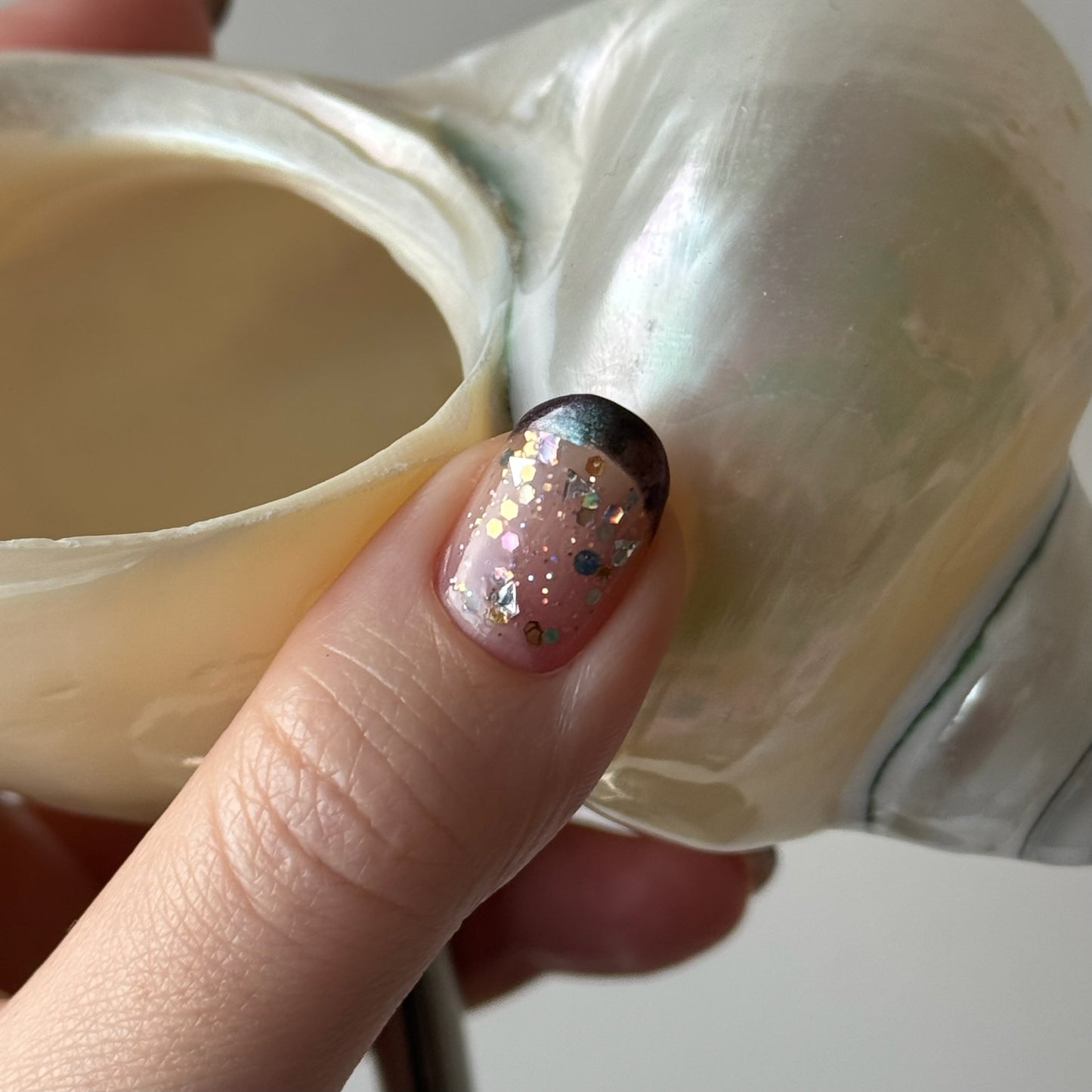 in the shell