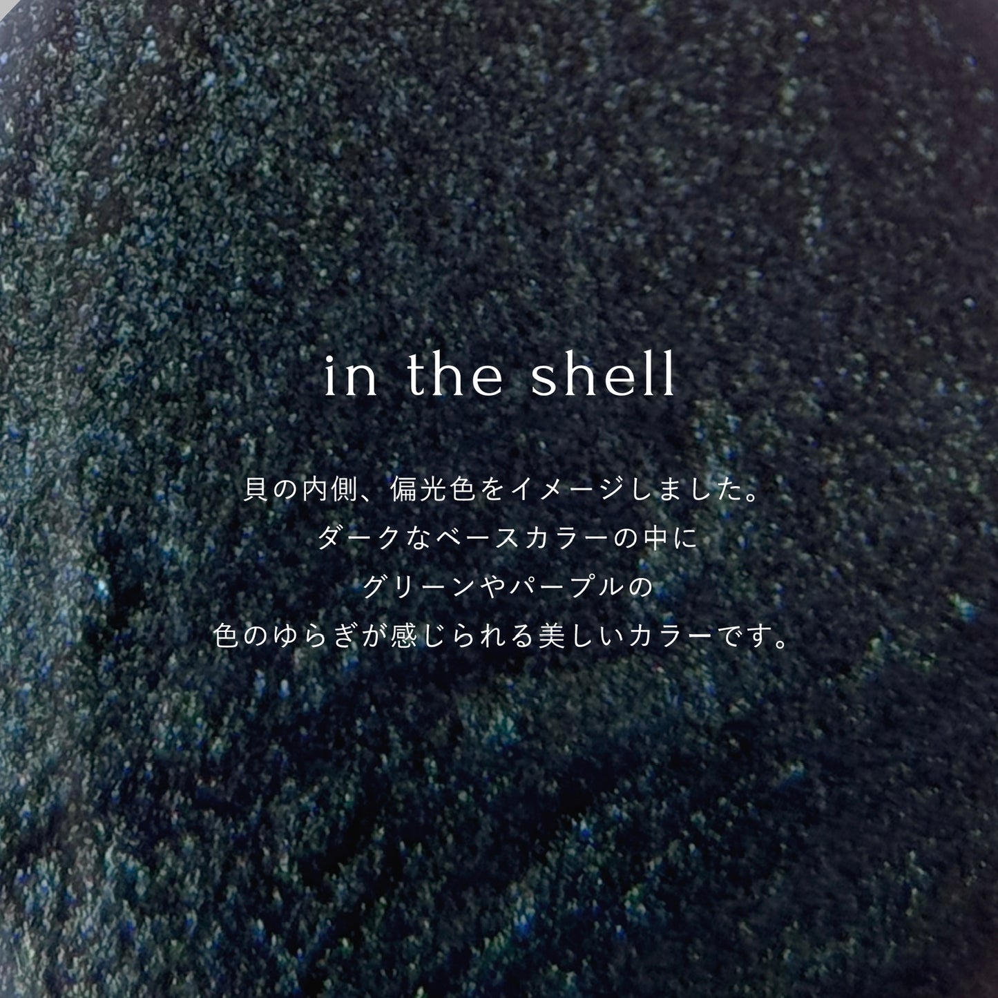 in the shell