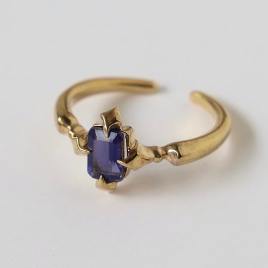 [ iolite ] polaris gold