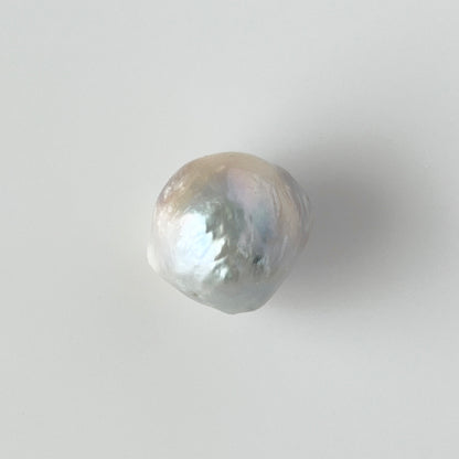 [ ✴︎12 ] oyster pearl mini ring