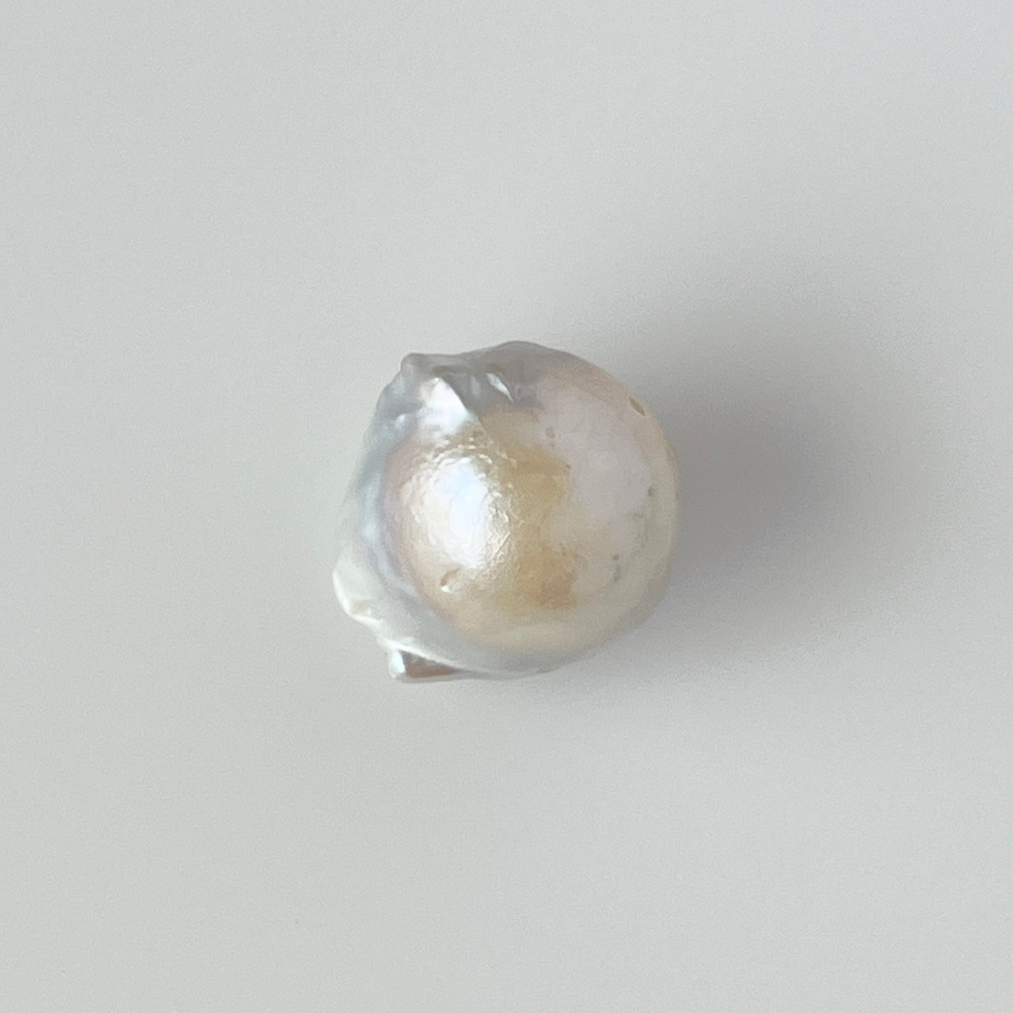 [ ✴︎13 ] oyster pearl mini ring