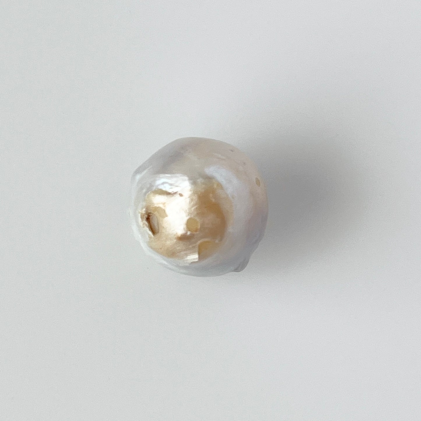 [ ✴︎13 ] oyster pearl mini ring