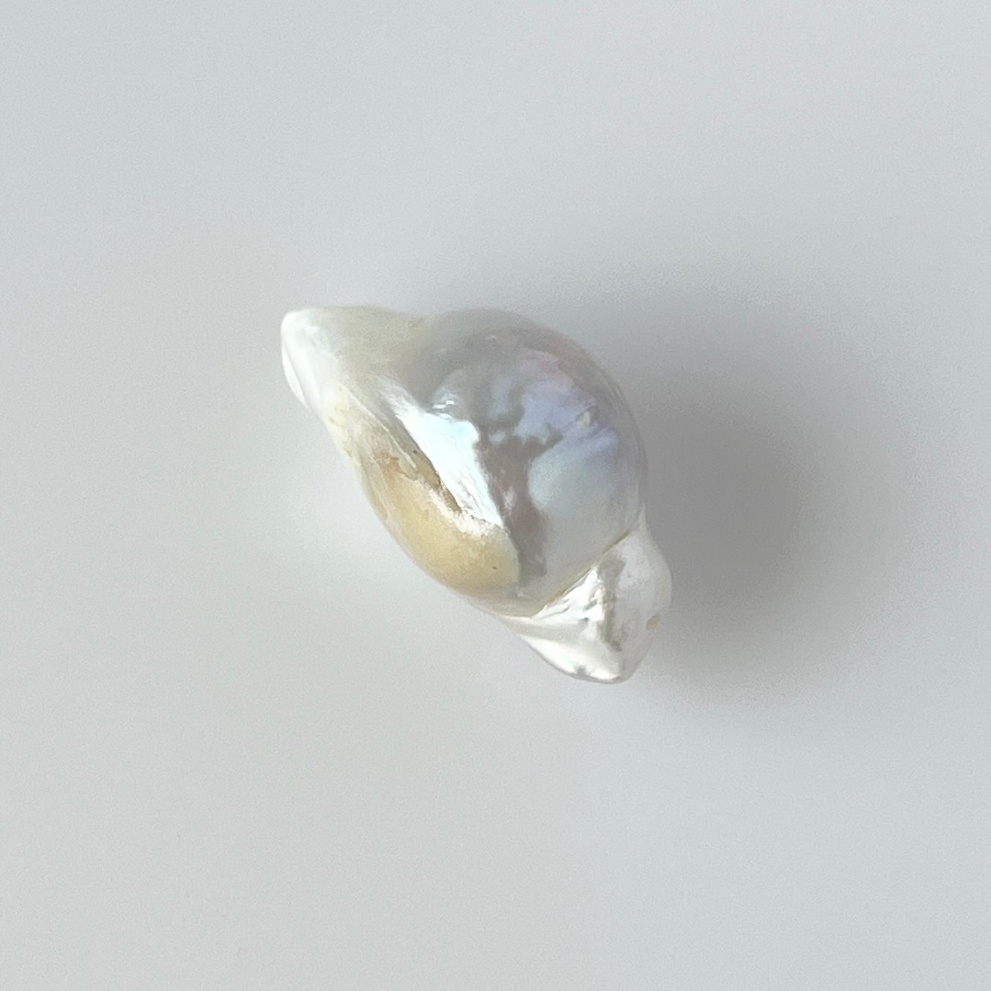 [ ✴︎14 ] oyster pearl mini ring