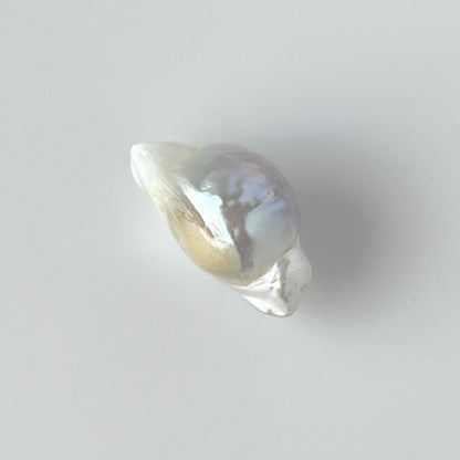 [ ✴︎14 ] oyster pearl mini ring