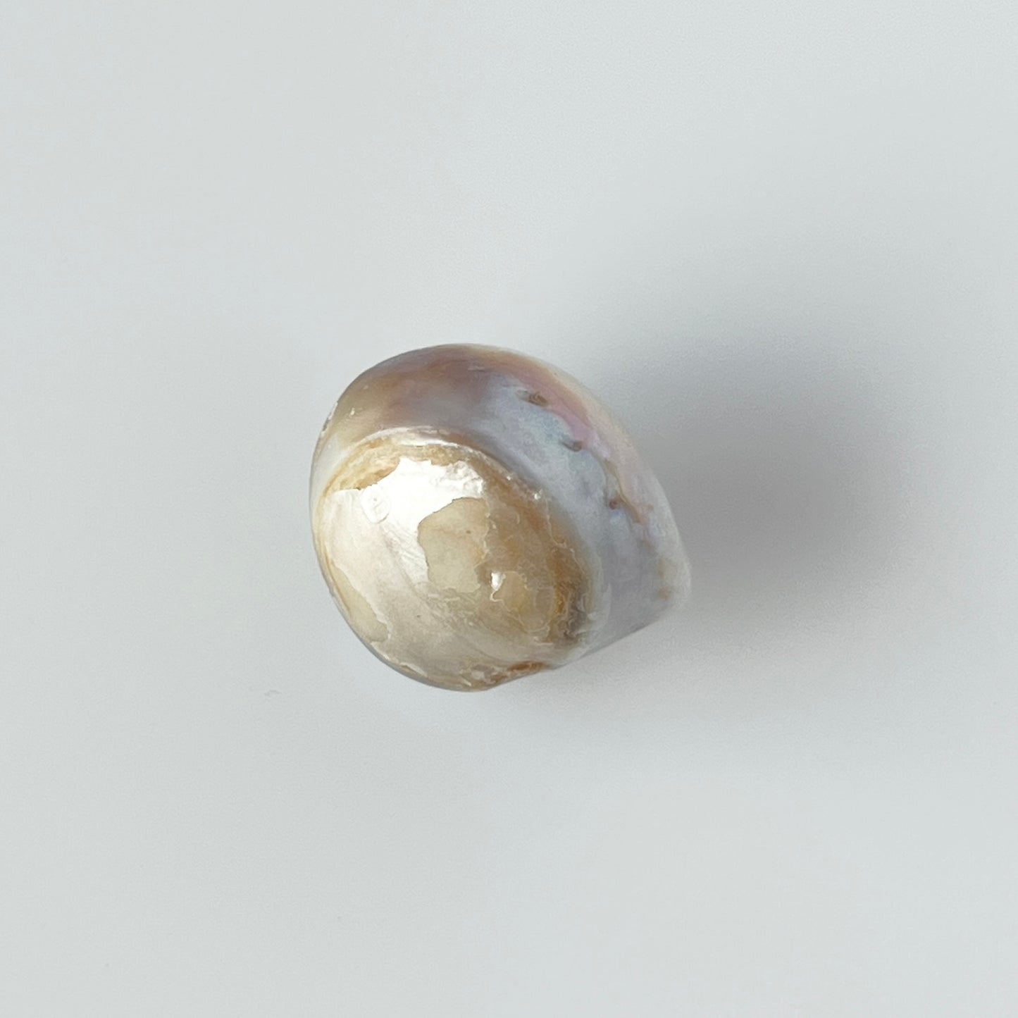 [ ✴︎15 ] oyster pearl mini ring