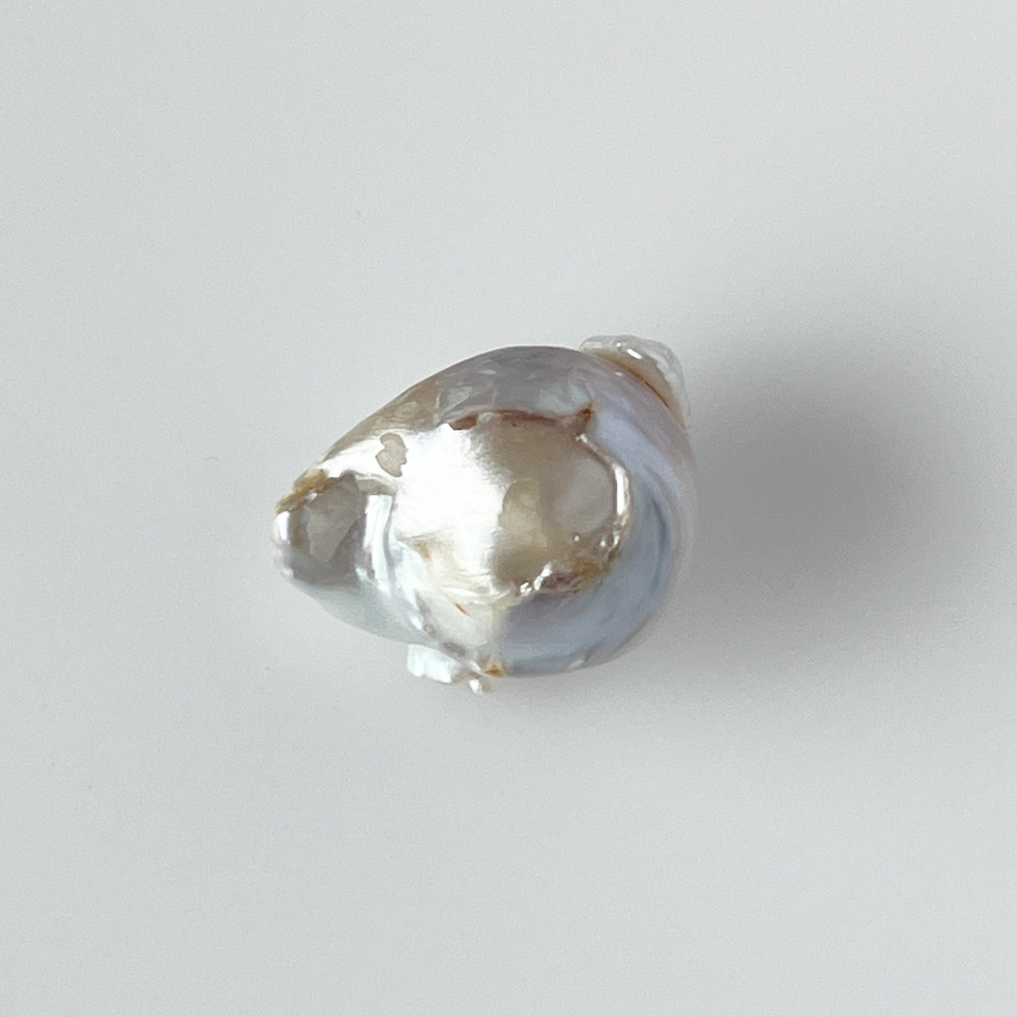 [ ✴︎17 ] oyster pearl mini ring