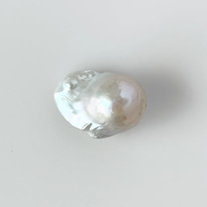 [ ✴︎18 ] oyster pearl mini ring