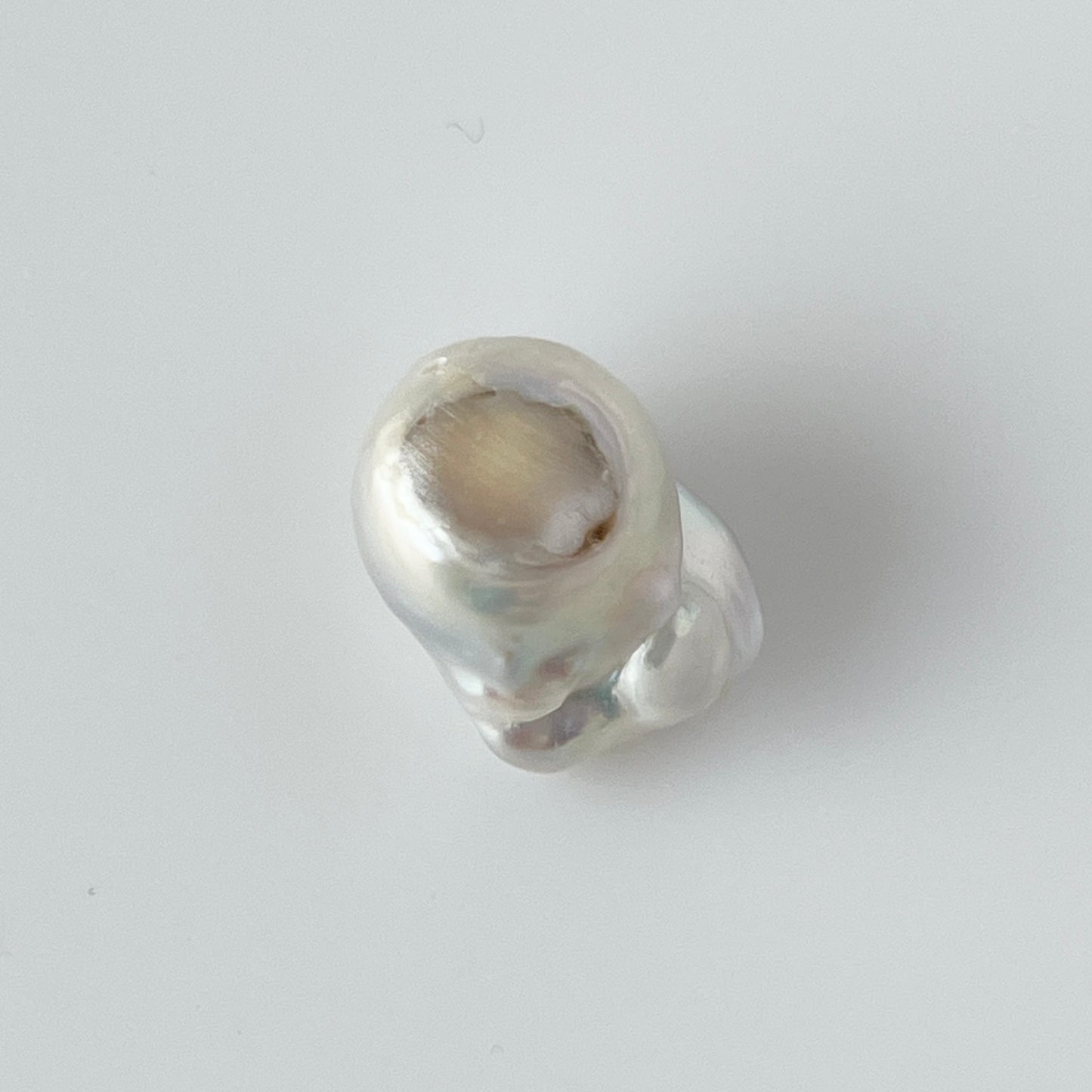 [ ✴︎19 ] oyster pearl mini ring