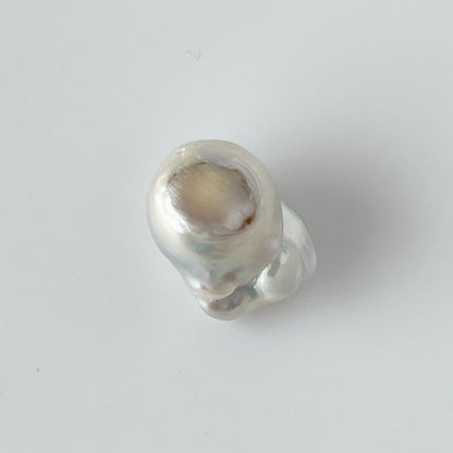 [ ✴︎19 ] oyster pearl mini ring