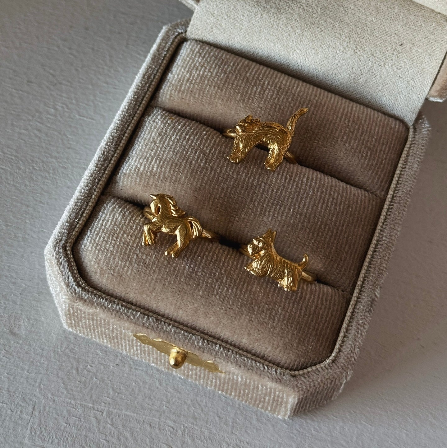 [ gold ] terrier pinky [ free size ]