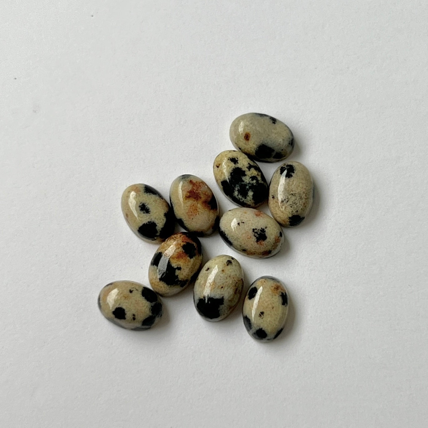 [ dalmatian jasper ] pebble silver