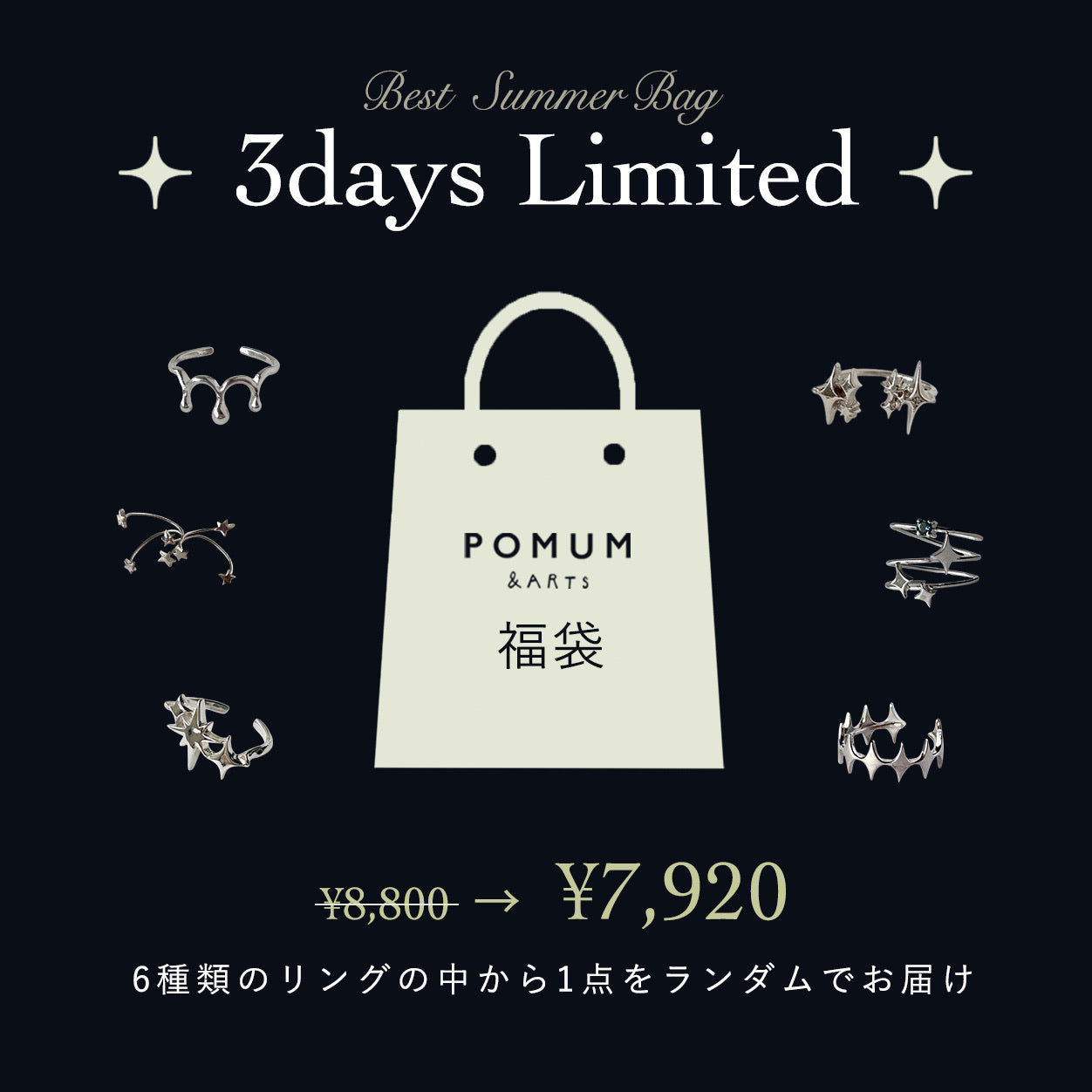 【 3日間限定 】 BEST SUMMER BAG ( シルバー )