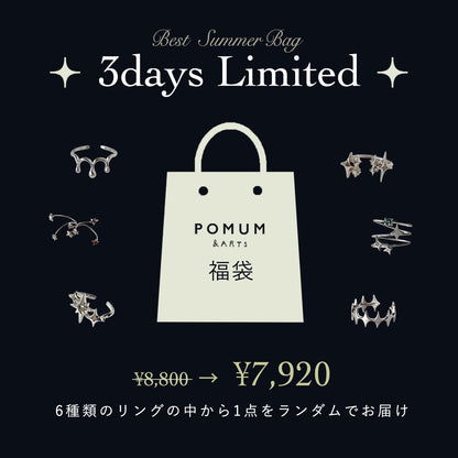 【 3日間限定 】 BEST SUMMER BAG ( シルバー )
