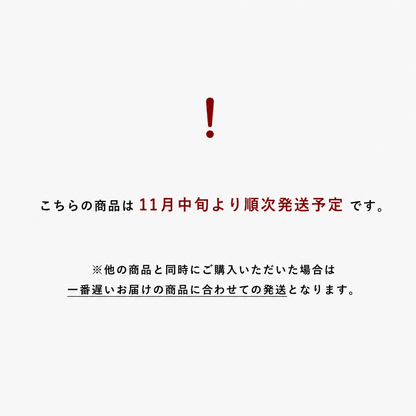 ジュエリービュッフェ（11月中旬発送）