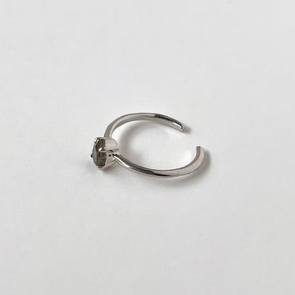 [ labradorite ] dorp faceted cut ring  silver [ free size ]
