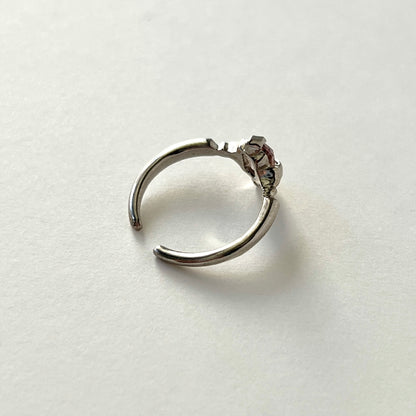 [ ametrine ] polaris silver [ free size ]