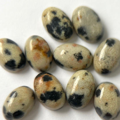 [ dalmatian jasper ] pebble silver