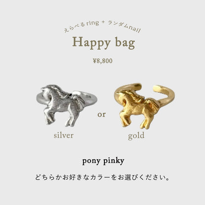 [SILVER] PONY PINKY | HAPPY BAG