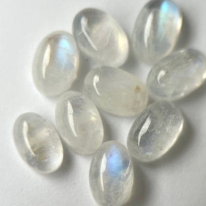 [ royal blue moon stone ] pebble gold [ free size ]