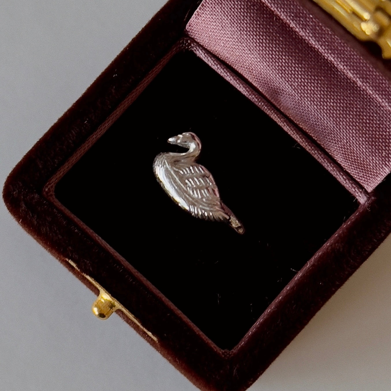 [ silver ] swan pinky