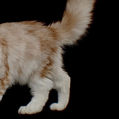 [ silver ] cat pinky [ free size ]