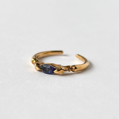 [ iolite ] polar star gold
