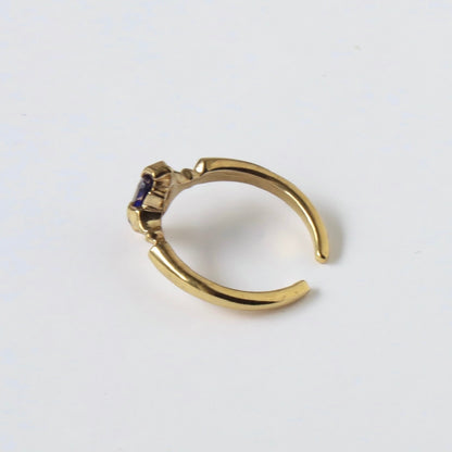 [ iolite ] polaris gold