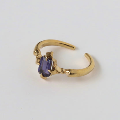[ iolite ] polaris gold