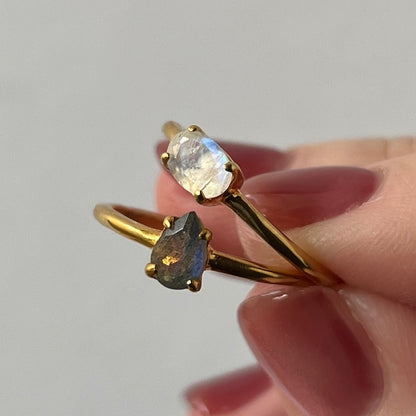 【 recommended set 】oval & drop gold