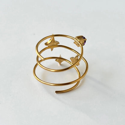 [ amethyst ] procyon gold [ free size ]