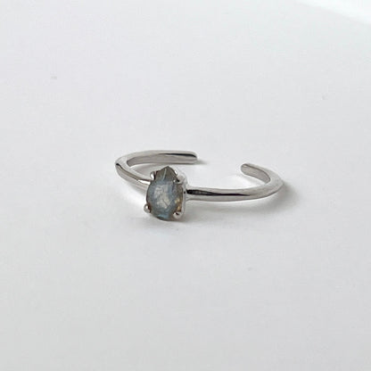 [ labradorite ] dorp faceted cut ring  silver [ free size ]