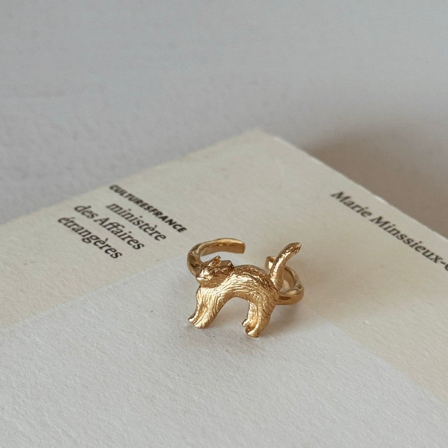 [ gold ] cat pinky [ free size ]
