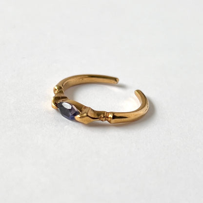 [ iolite ] polar star gold