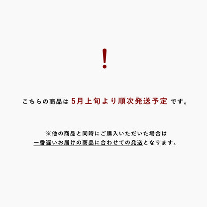 ジュエリービュッフェ（5月上旬発送）