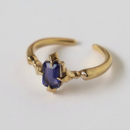 [ iolite ] polaris gold