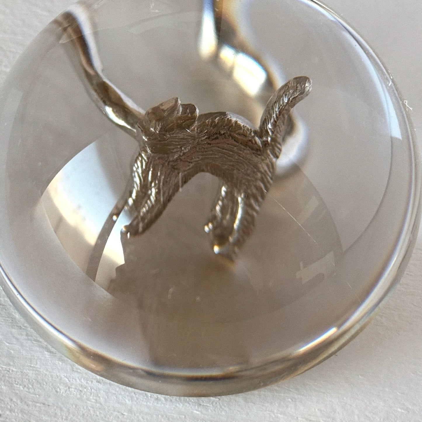 [ silver ] cat pinky [ free size ]