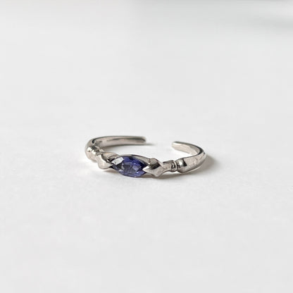 [ iolite ] polar star silver
