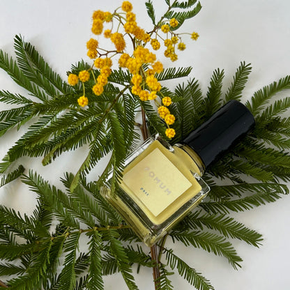 [ gold ] mimosa ring