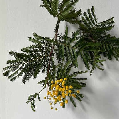 [ gold ] mimosa ring