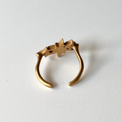[ matte gold ] ptolemaeus ring [ free size ]