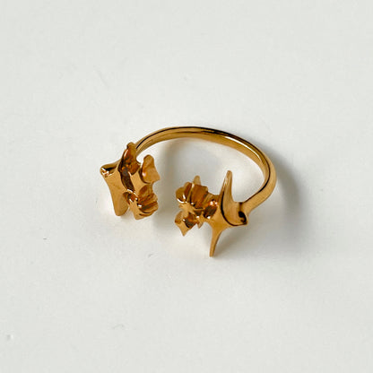 [ gold ] meteor [ free size ]