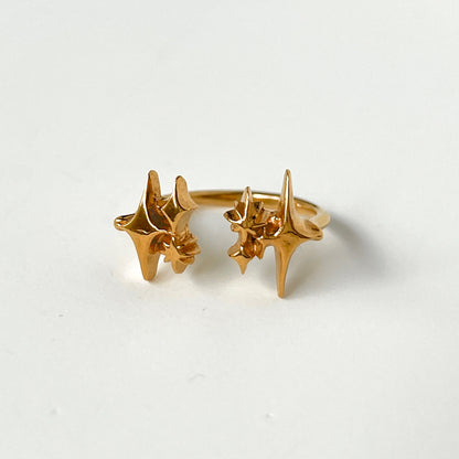 [ gold ] meteor [ free size ]