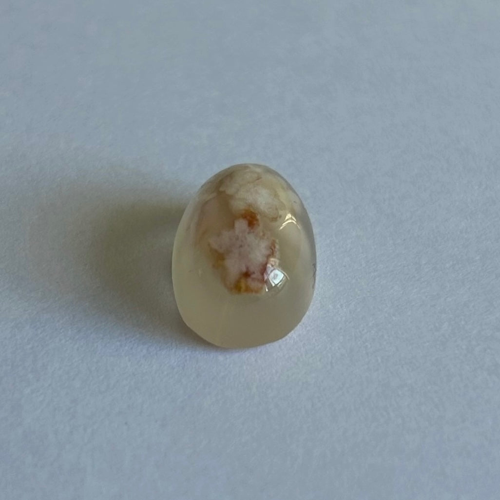 [ cherry blossoms agate ] roche