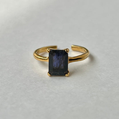 [ iolite ] rectangle faceted cut gold