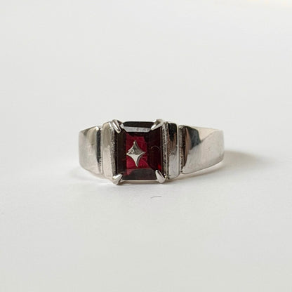 [ mozambique garnet ] telescope silver