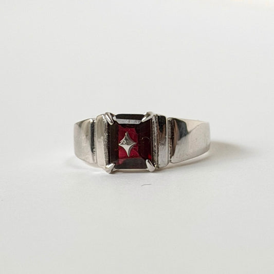 [ mozambique garnet ] telescope silver