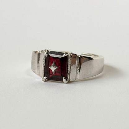 [ mozambique garnet ] telescope silver