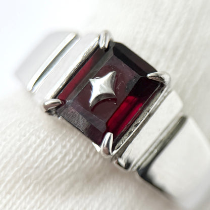 [ mozambique garnet ] telescope silver