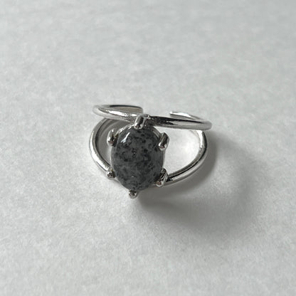 [ black aventurine ] double silver [ free size ]