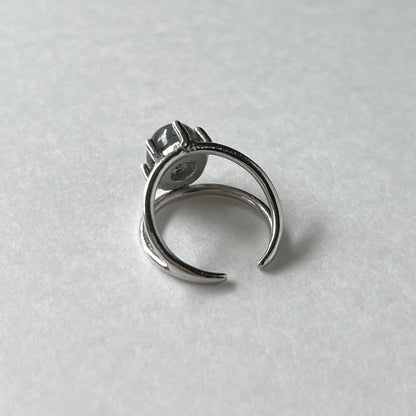 [ black aventurine ] double silver [ free size ]